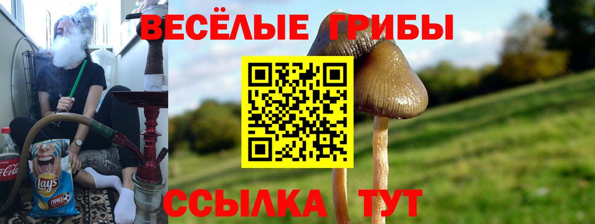 Петрозаводск  Псилоцибиновые грибы Psilocybine cubensis  Вход с VPN  Псилоцибиновые грибы Psilocybine cubensis 